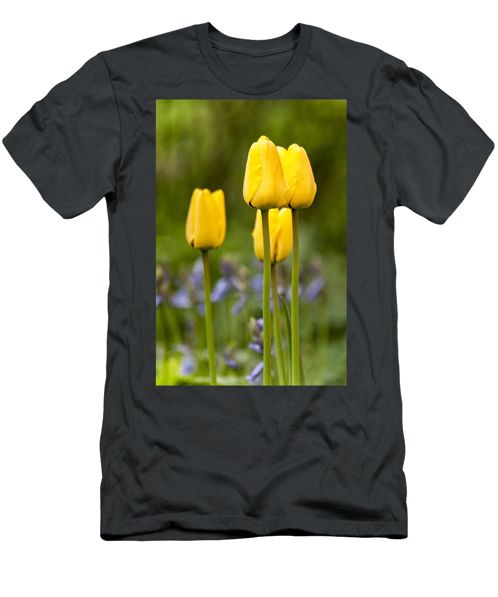 Yellow T-Shirt featuring the photograph Yellow flowers by Mike Santis