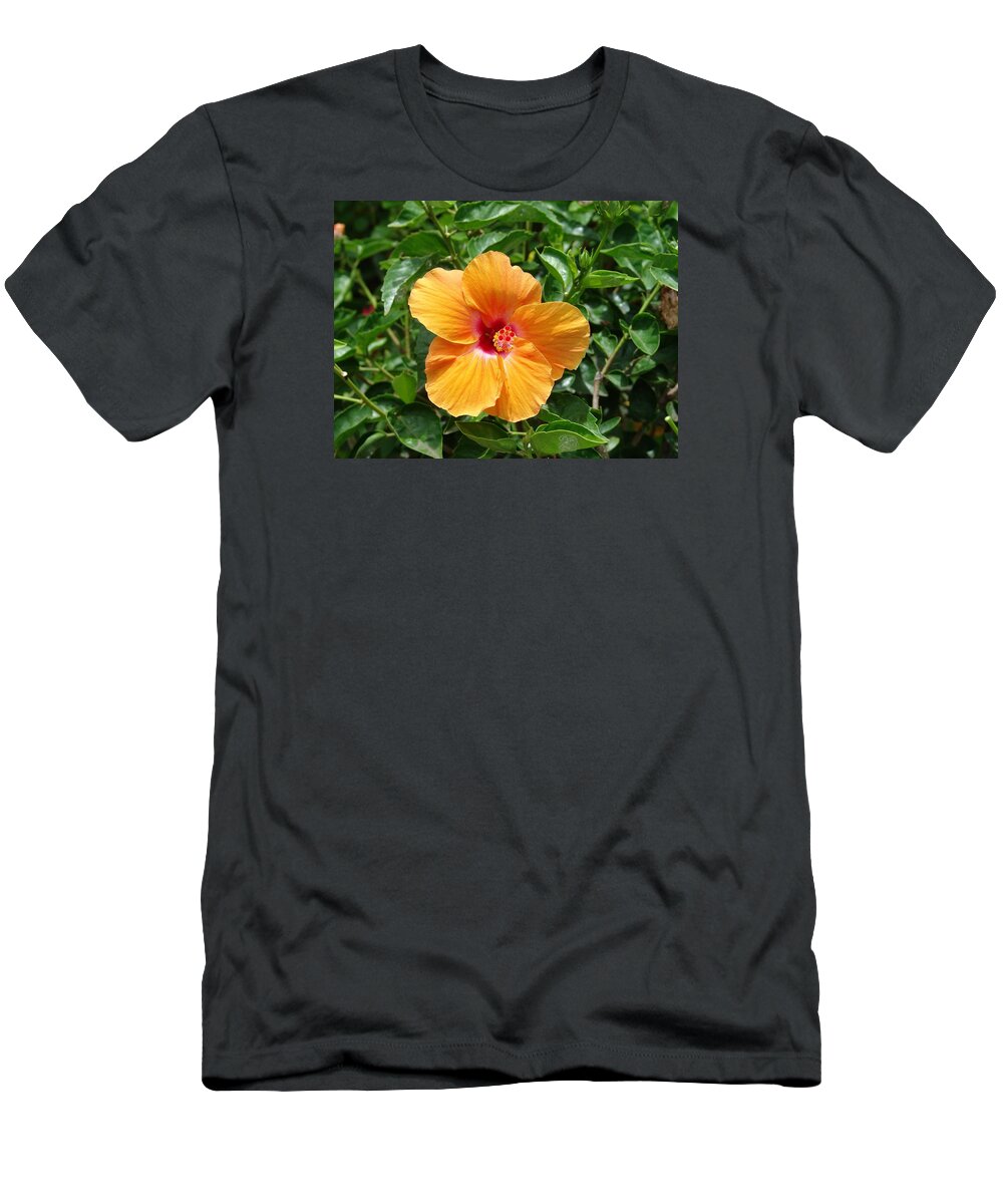 Yellow Hibiscus T-Shirt featuring the photograph Yellow Hibiscus by Eric Swan