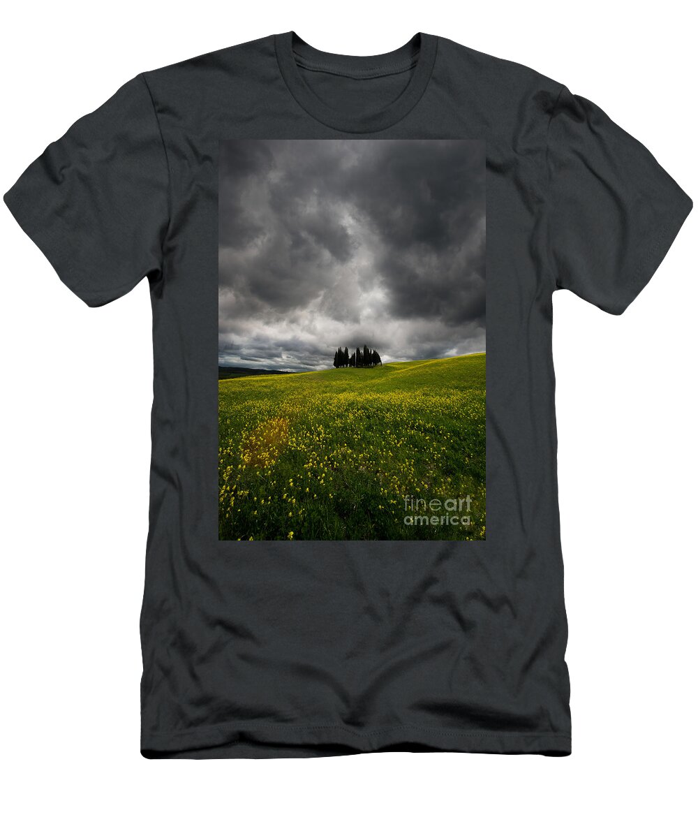 Toskany T-Shirt featuring the photograph Yellow Meadow by Jaroslaw Blaminsky