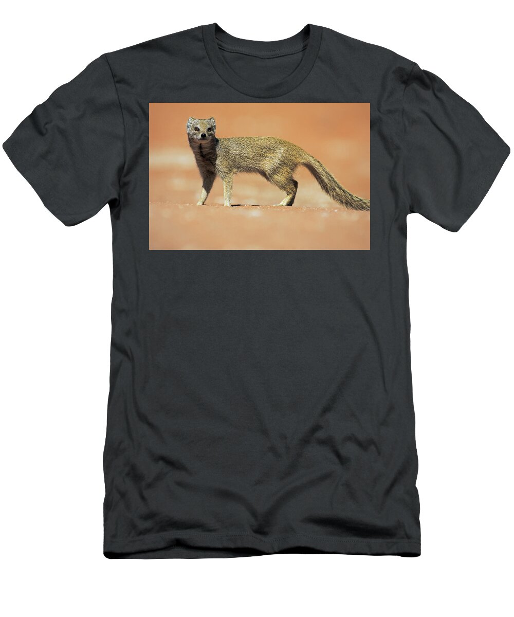 Heike Odermatt T-Shirt featuring the photograph Yellow Mongoose In Kalahari Desert by Heike Odermatt