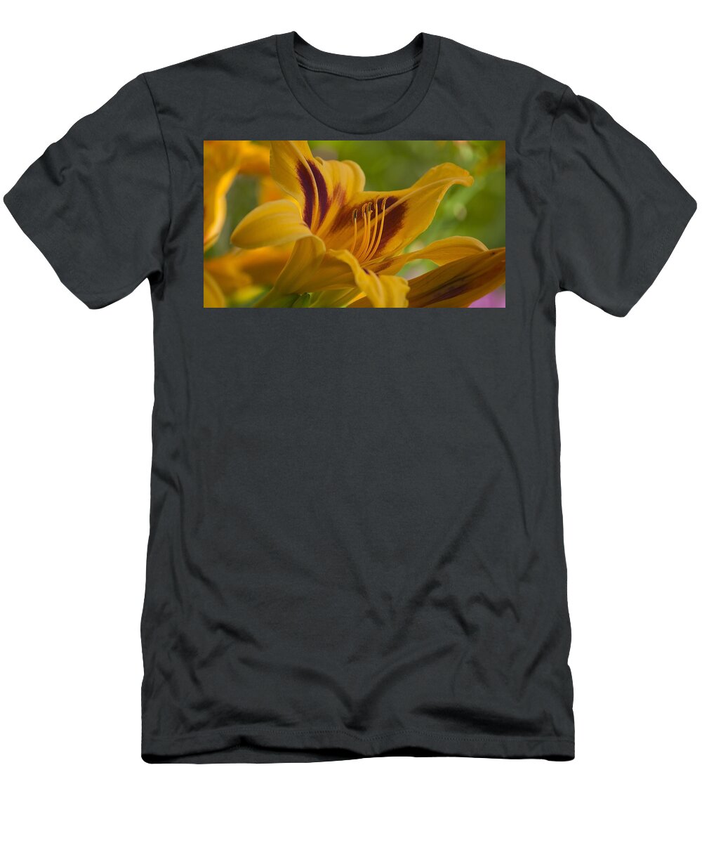 Blumwurks T-Shirt featuring the photograph Yellow Rising by Matthew Blum