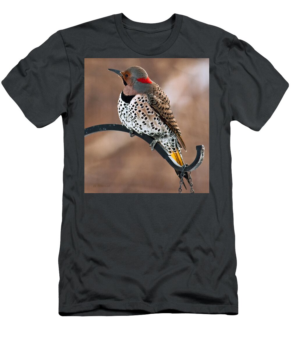 Yellow Shafted Northern Flicker T-Shirt featuring the photograph Yellow-shafted Northern Flicker by Ed Peterson