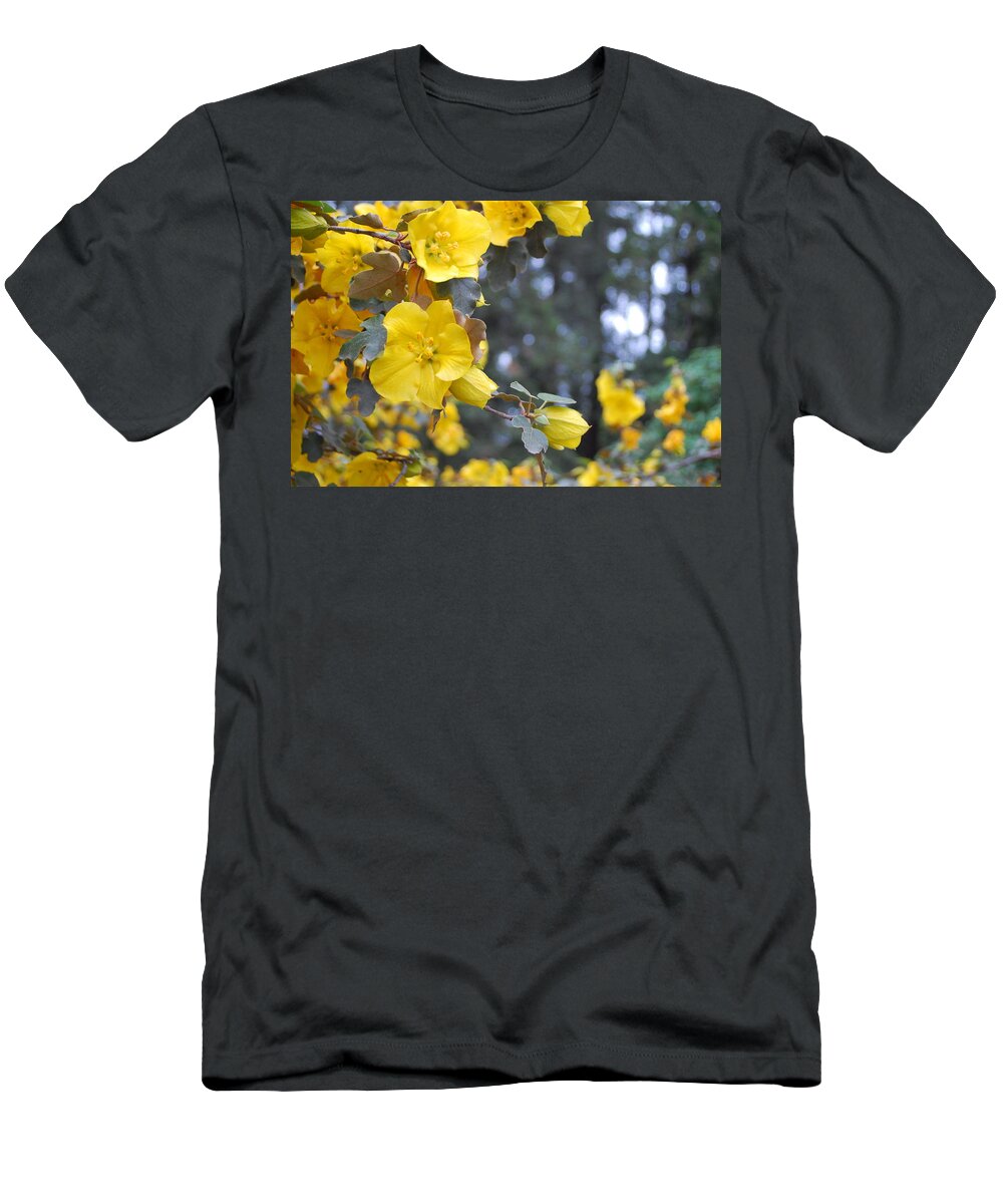 Flower T-Shirt featuring the photograph Yellow Tree Flowers by Amy Fose