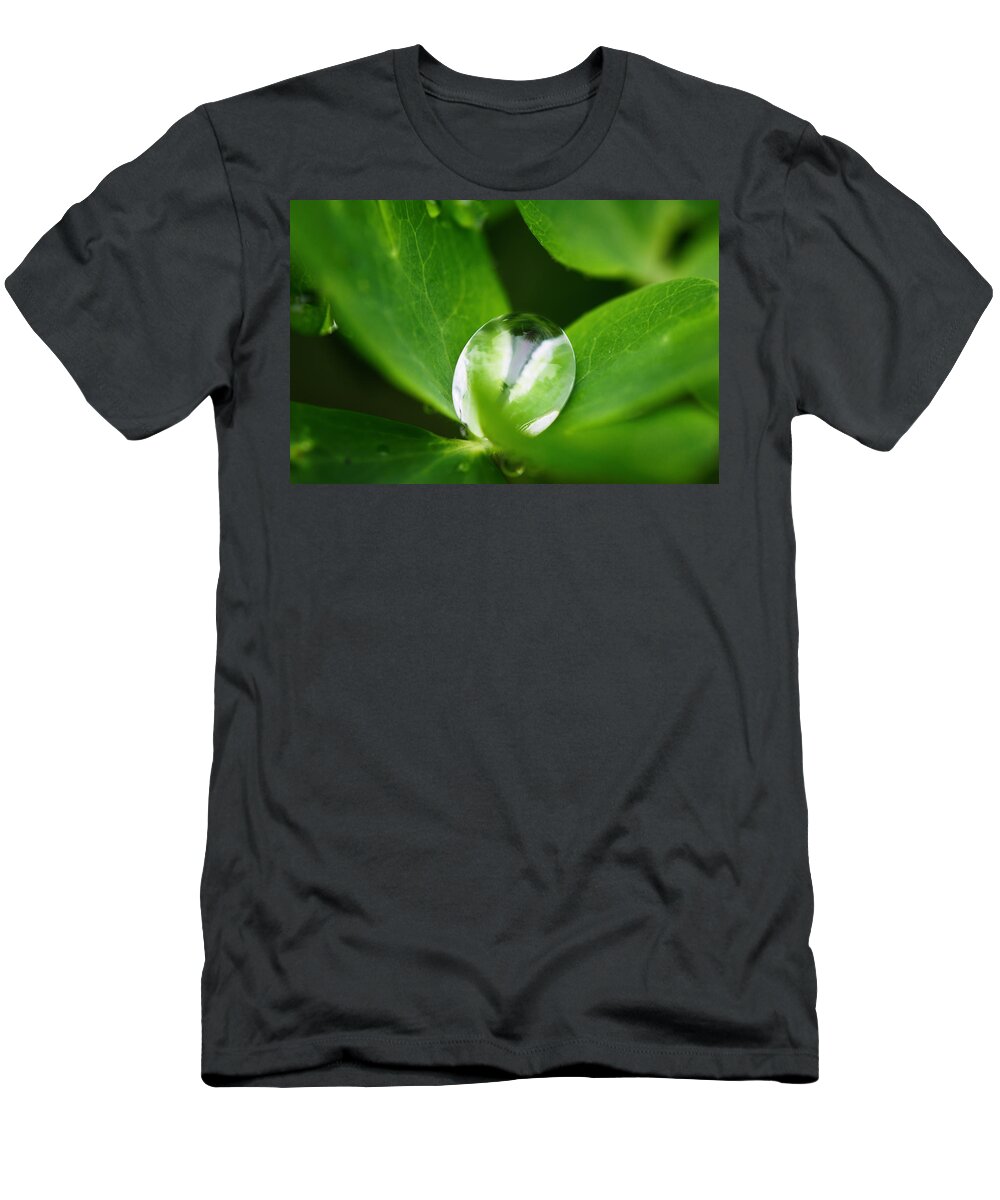 Water Drop T-Shirt featuring the photograph Yin Yang by Sue Capuano