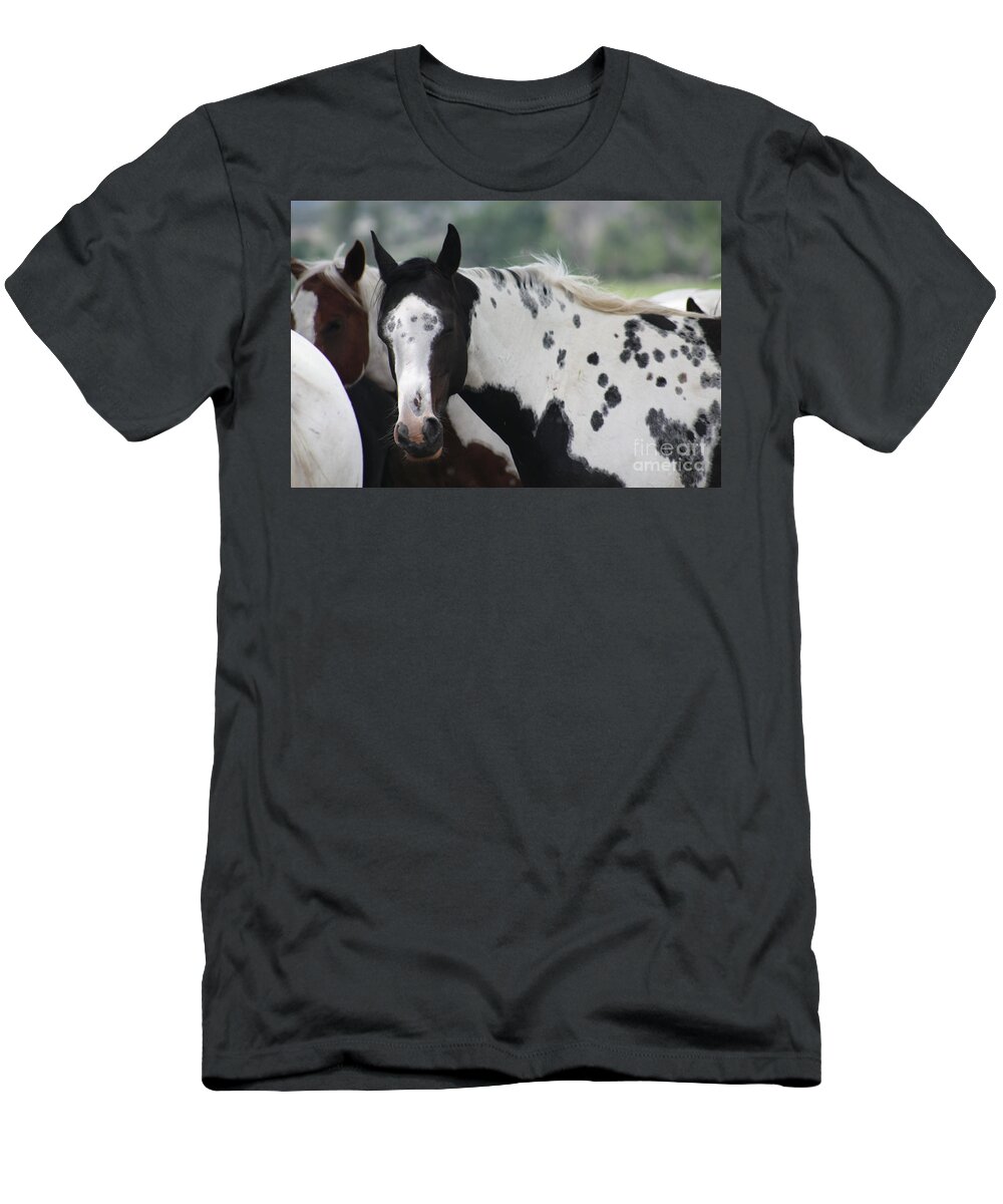 Horse T-Shirt featuring the photograph You Can't See Me by Brandi Mavretic
