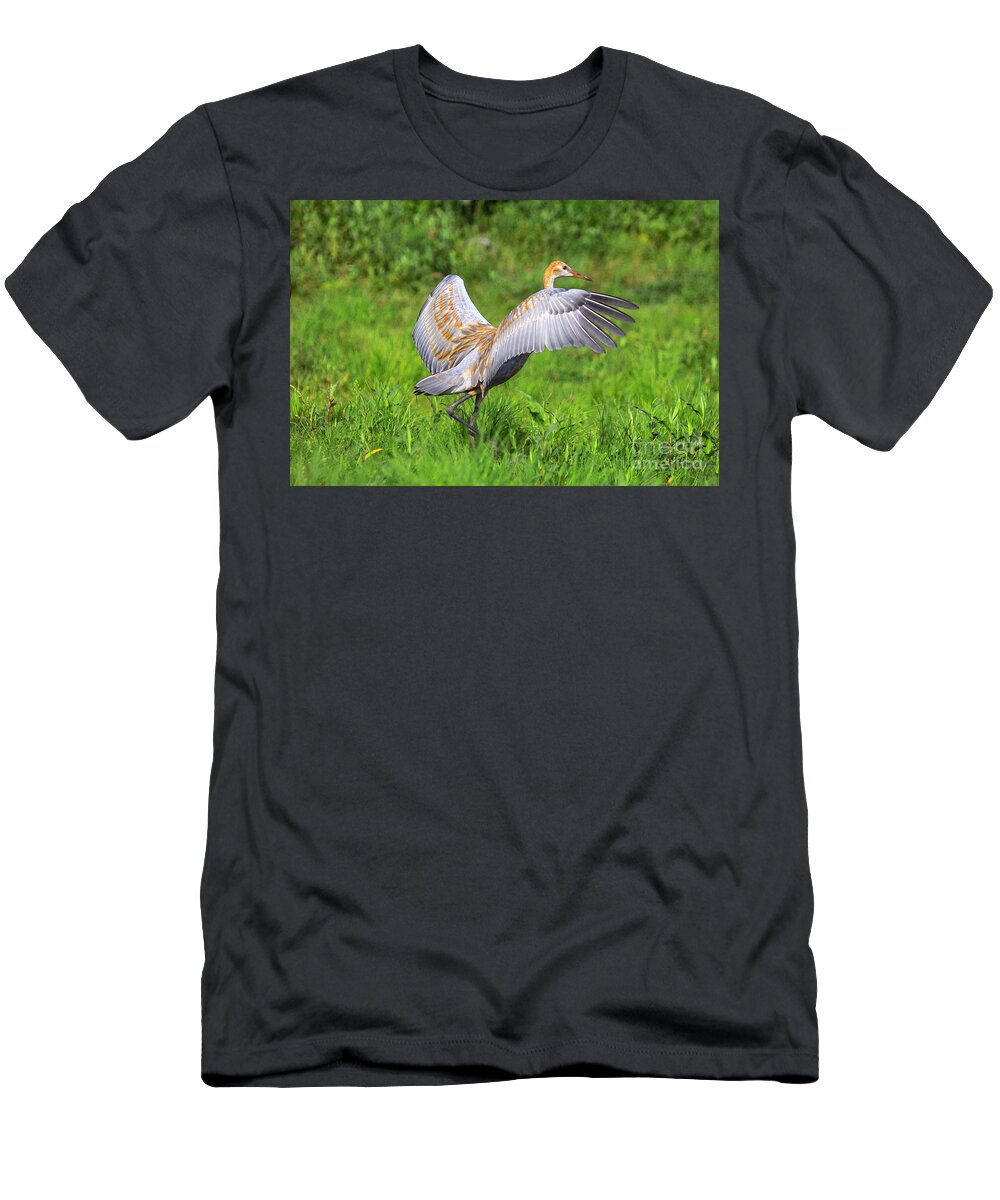 Grus Canadensis T-Shirt featuring the photograph Young Sandhill Crane by Linda Freshwaters Arndt