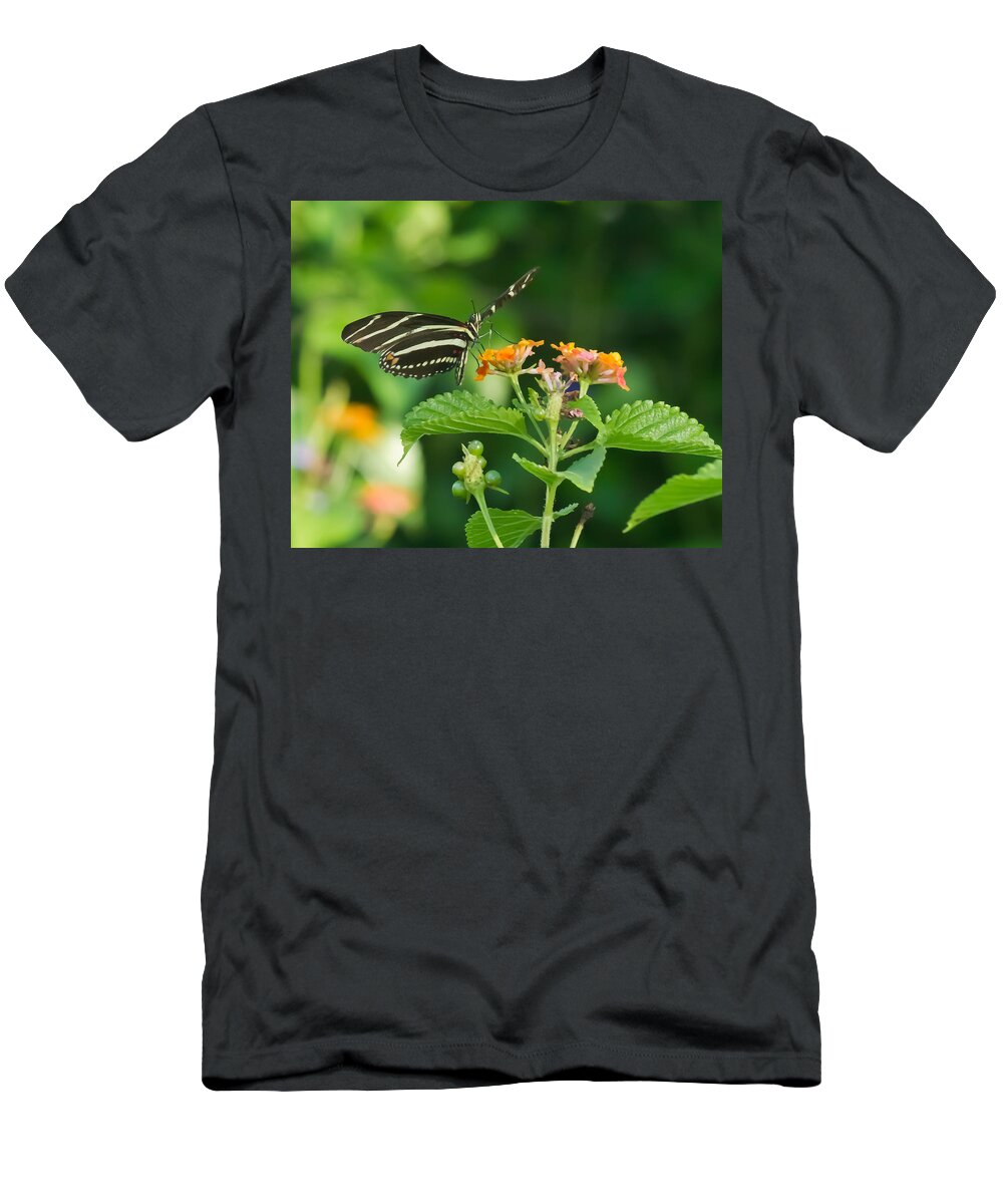 Florida T-Shirt featuring the photograph Zebra Longwing by Jane Luxton