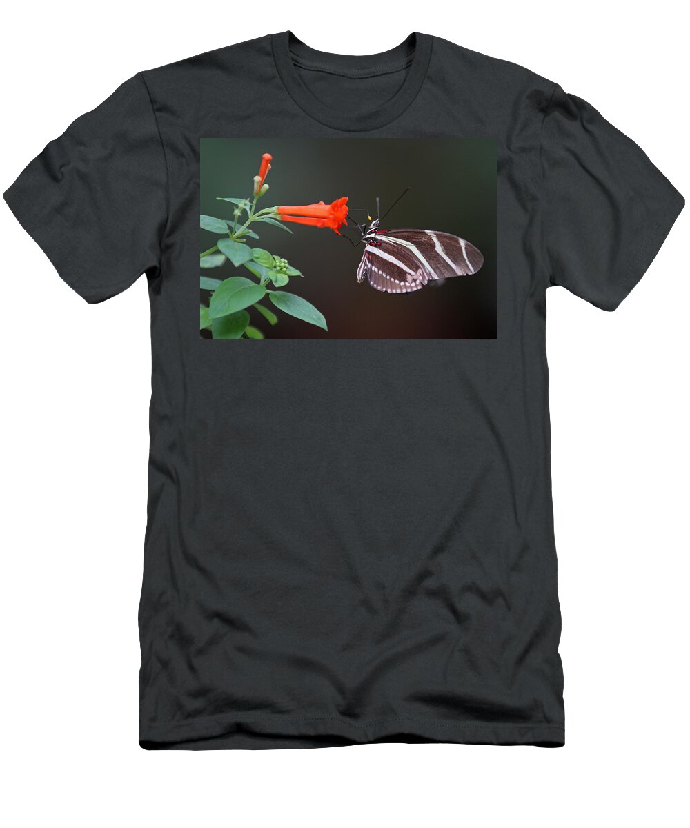 Florida T-Shirt featuring the photograph Zebra Longwing by Juergen Roth