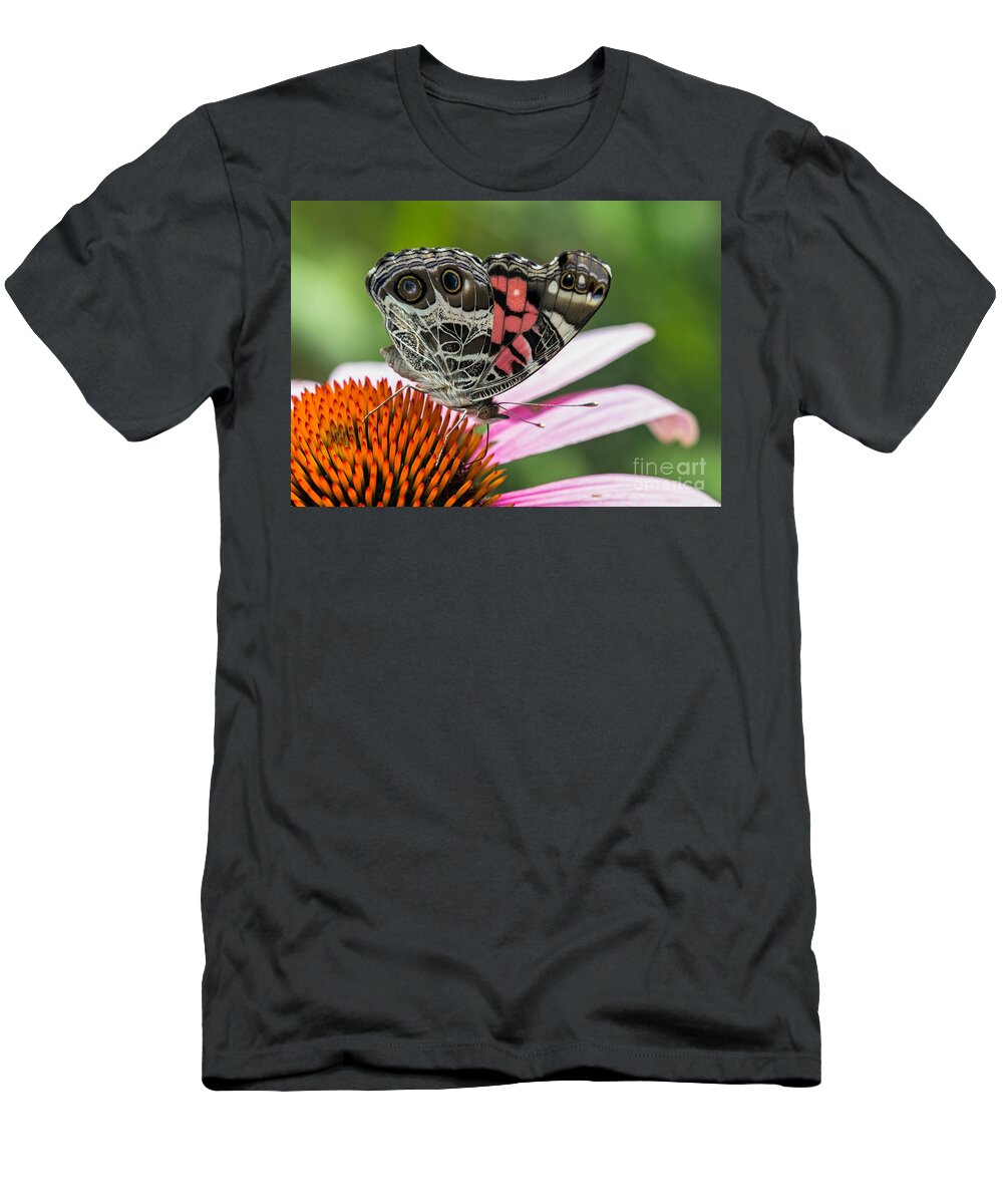 Zebra-swallowtail T-Shirt featuring the photograph Butterfly feeding #1 by Bernd Laeschke