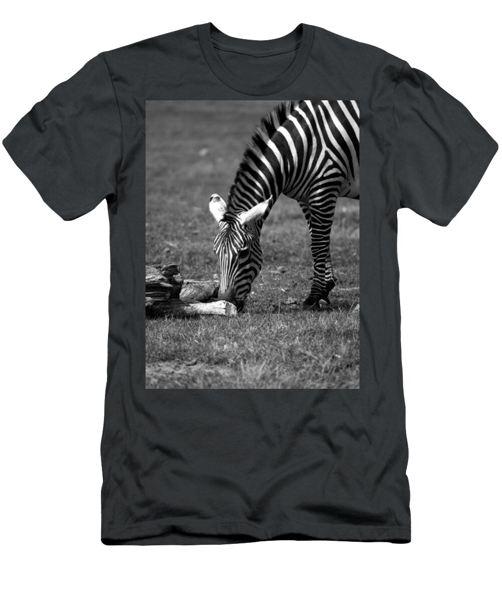 Zebra T-Shirt featuring the photograph Zebra by Tracy Winter