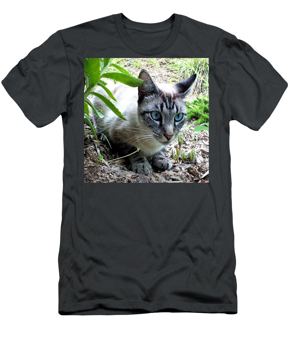 Duane Mccullough T-Shirt featuring the photograph Zing the Cat in the Garden by Duane McCullough