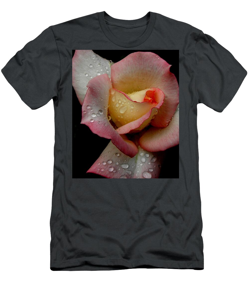 Rose T-Shirt featuring the photograph Absolute Beauty by Kim Galluzzo Wozniak