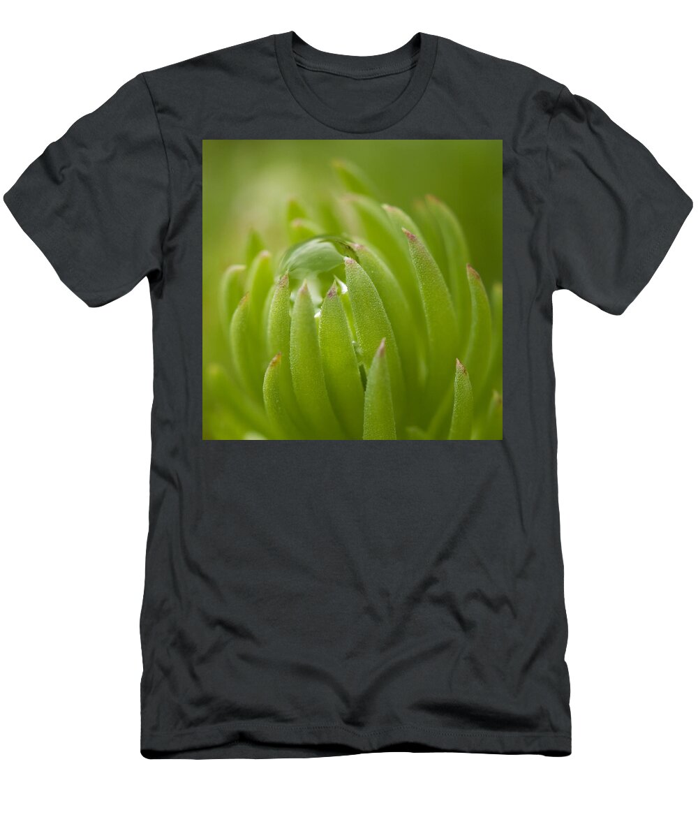 Green T-Shirt featuring the photograph Caught #1 by Carrie Cranwill