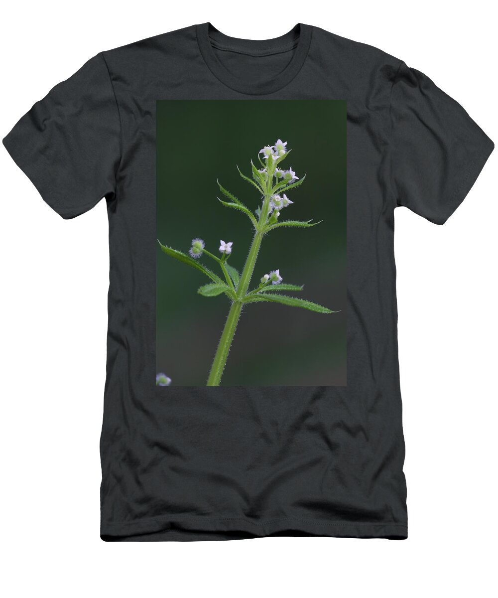 Cleavers T-Shirt featuring the photograph Cleavers by Daniel Reed
