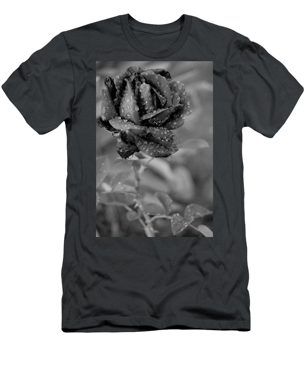 Rose T-Shirt featuring the photograph Dewy Black and White Rose 2 by Amy Fose