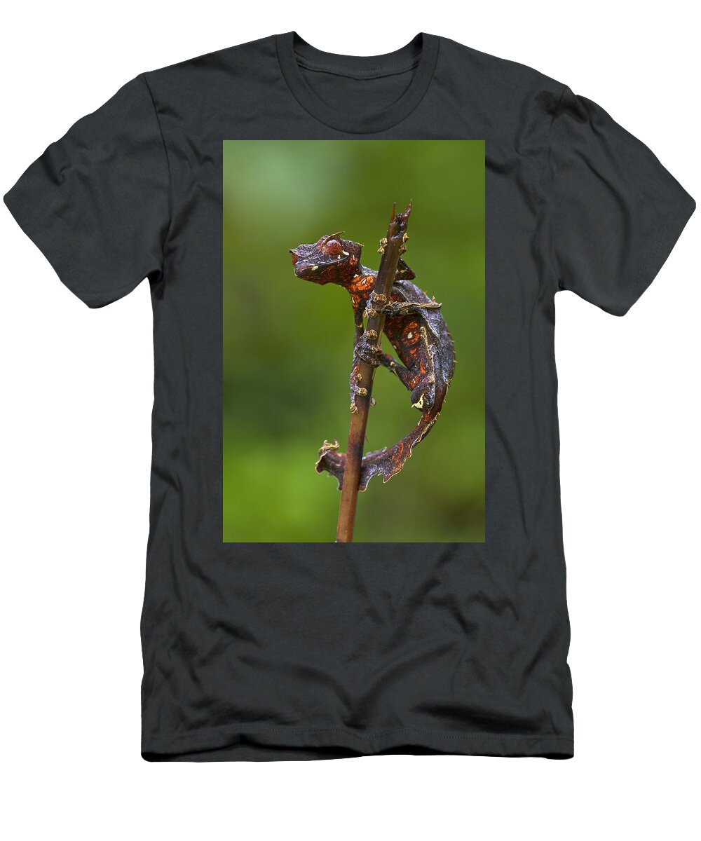 00298283 T-Shirt featuring the photograph Fantastic Leaftail Gecko Madagascar #1 by Piotr Naskrecki