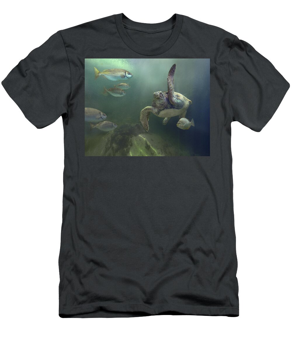 Mp T-Shirt featuring the photograph Green Sea Turtle Chelonia Mydas #1 by Tim Fitzharris