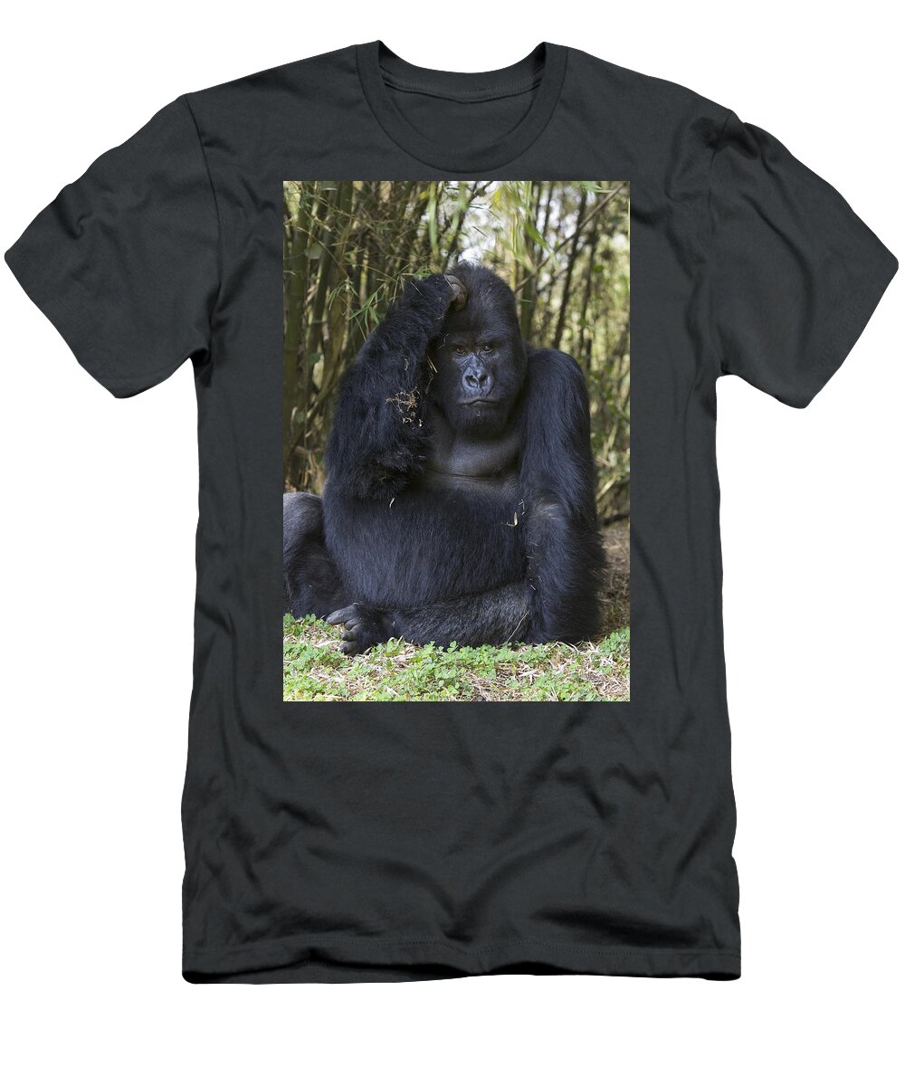 00761201 T-Shirt featuring the photograph Mountain Gorilla Large Silverback Male #1 by Suzi Eszterhas