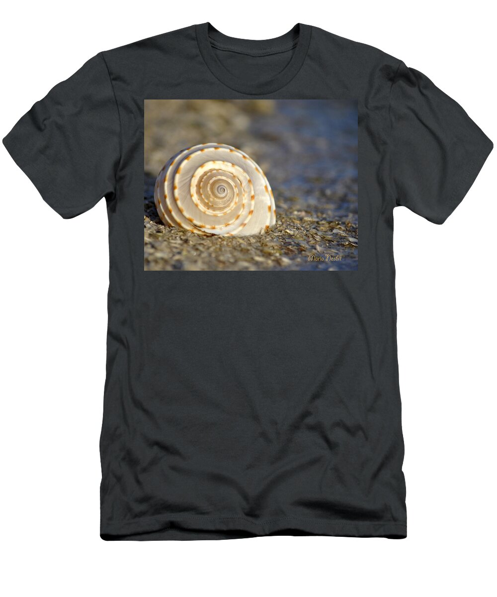 Seashells T-Shirt featuring the photograph Resonance of the Sea #1 by Maria Nesbit