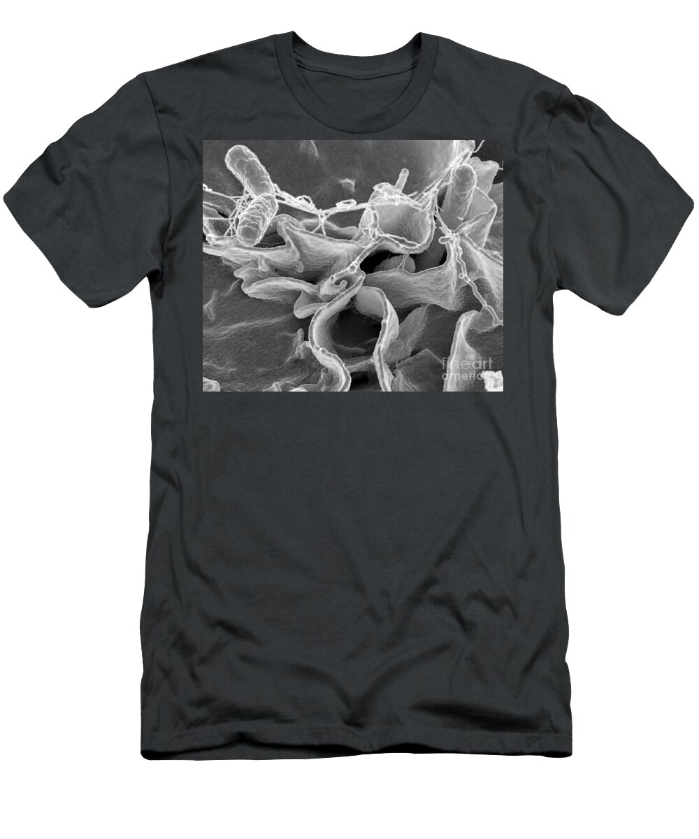 Microbiology T-Shirt featuring the photograph Salmonella Bacteria, Sem #1 by Science Source