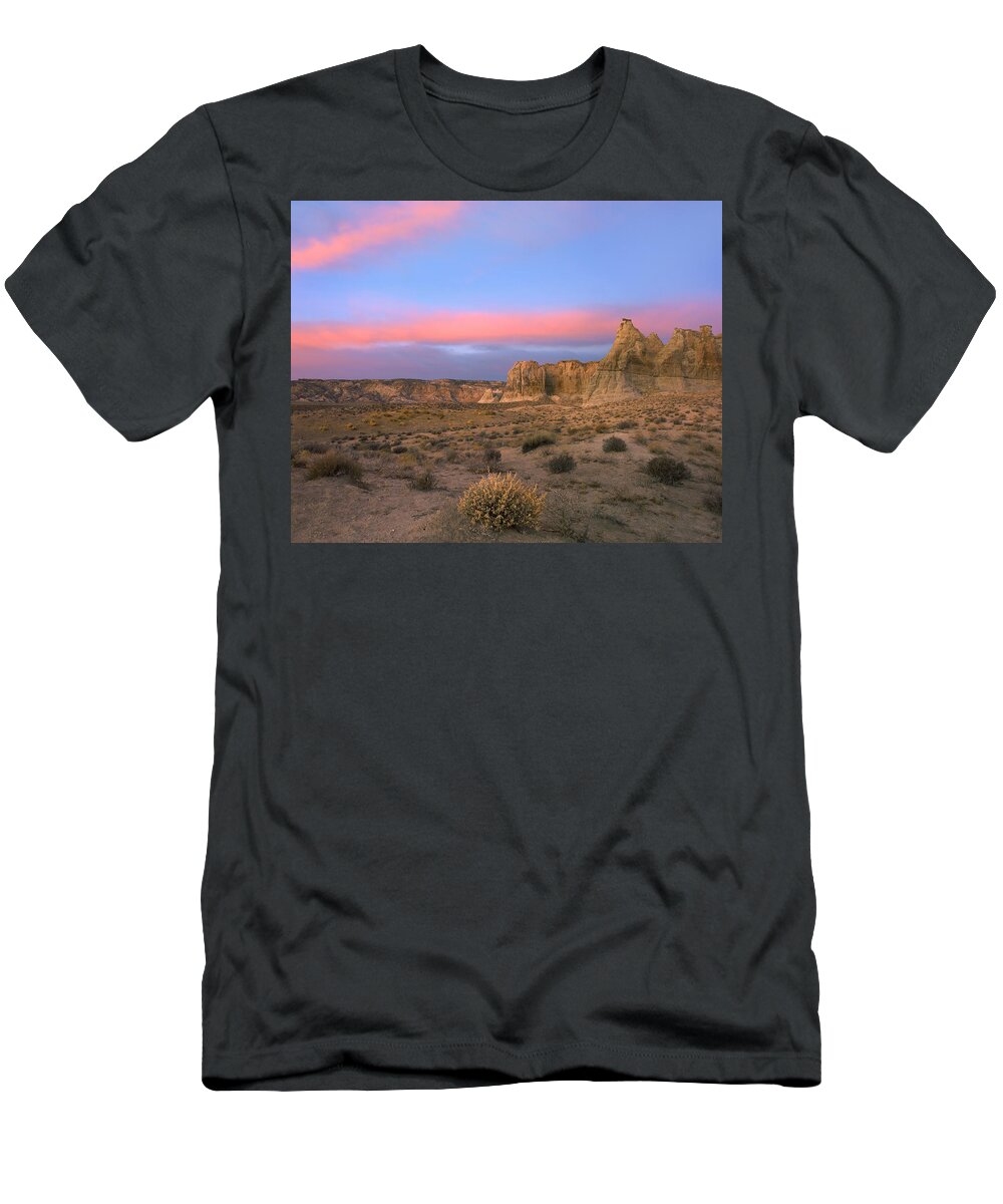 00175554 T-Shirt featuring the photograph Sandstone Formations In Kaiparowits #1 by Tim Fitzharris