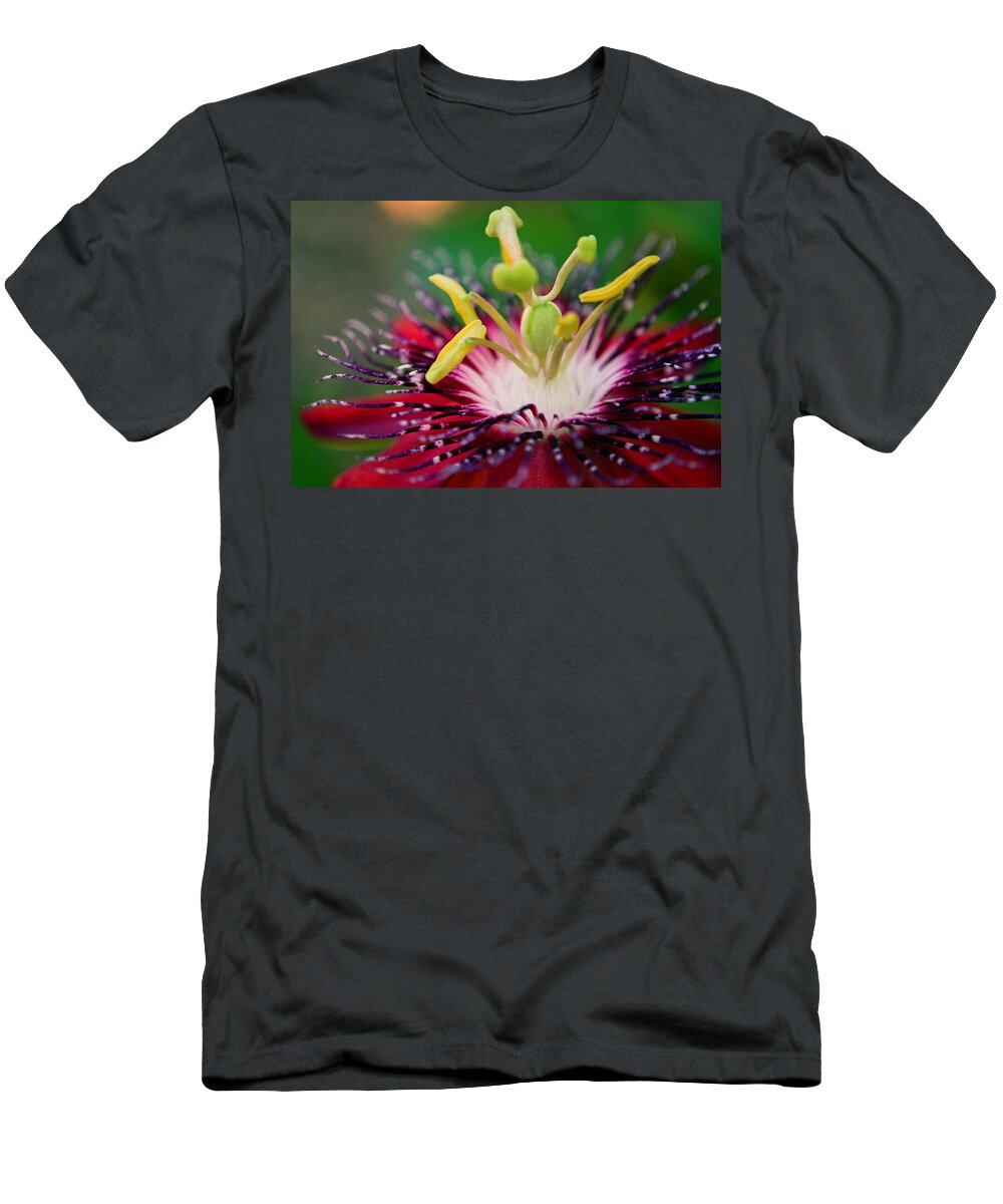 Flower T-Shirt featuring the photograph Treasured #1 by Melanie Moraga