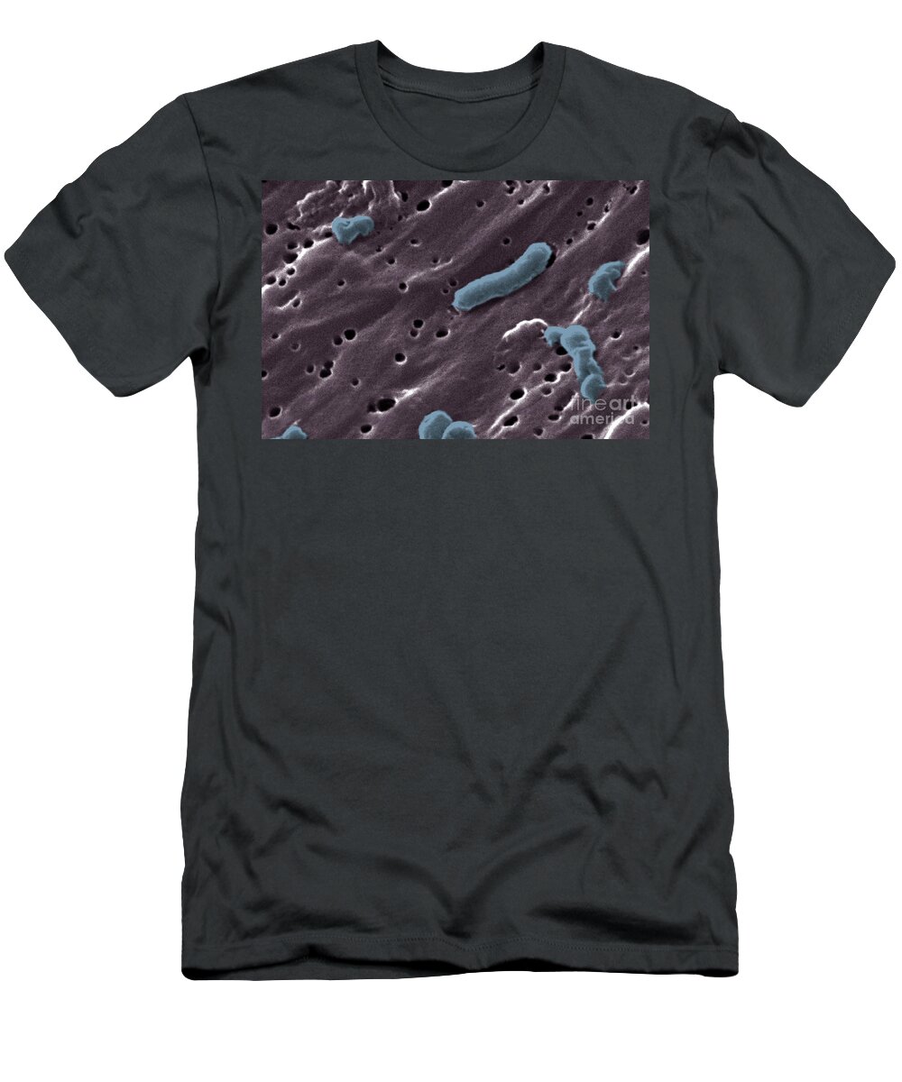 Science T-Shirt featuring the photograph Vibrio Cholerae Bacteria, Sem #1 by Science Source