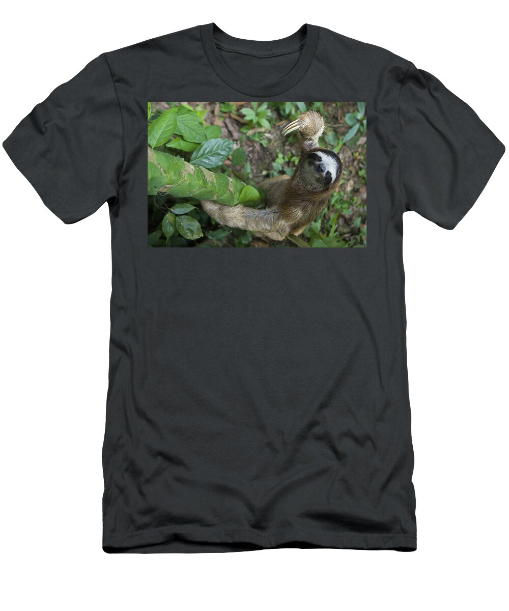 Mp T-Shirt featuring the photograph Brown-throated Three-toed Sloth by Suzi Eszterhas