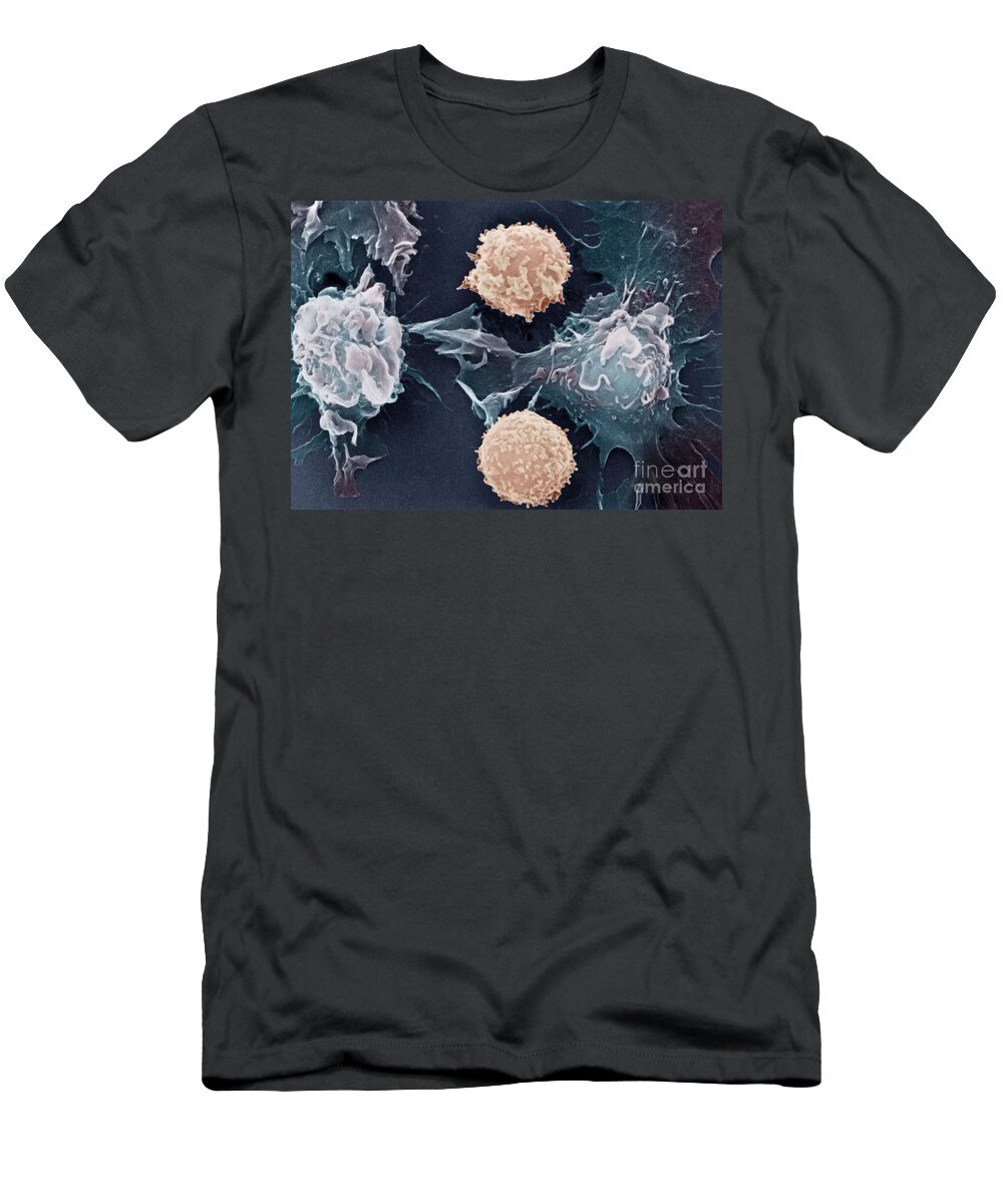 Cancer T-Shirt featuring the photograph Cancer Cells #2 by Science Source