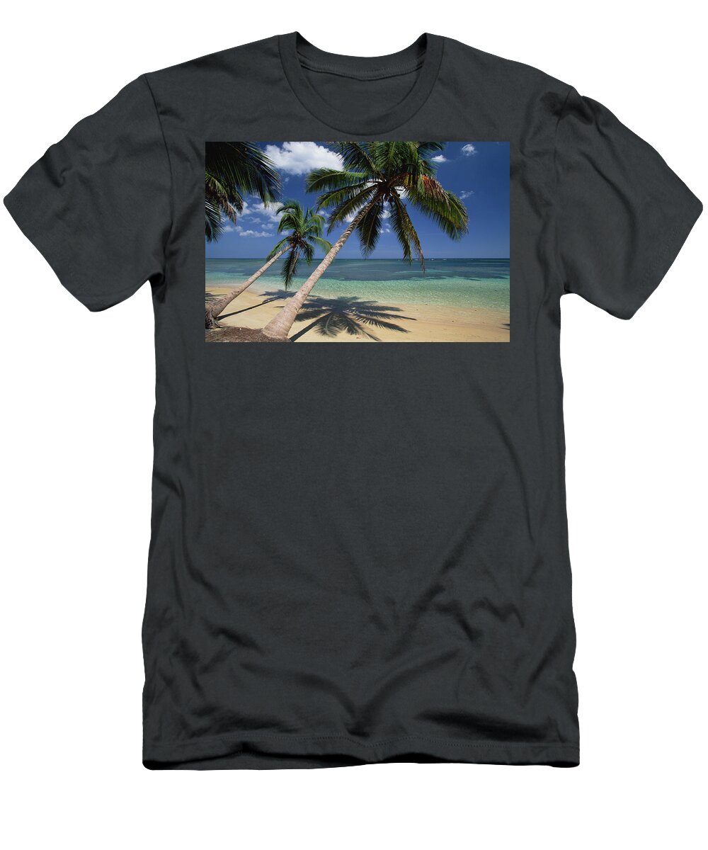 Mp T-Shirt featuring the photograph Coconut Palm Cocos Nucifera Trees #2 by Konrad Wothe