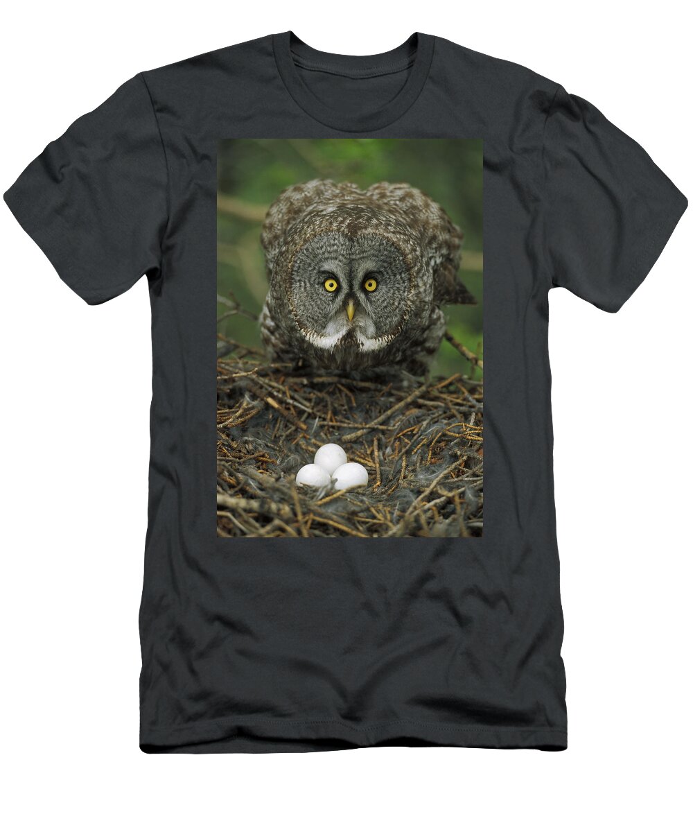 Mp T-Shirt featuring the photograph Great Gray Owl Strix Nebulosa Parent #2 by Michael Quinton