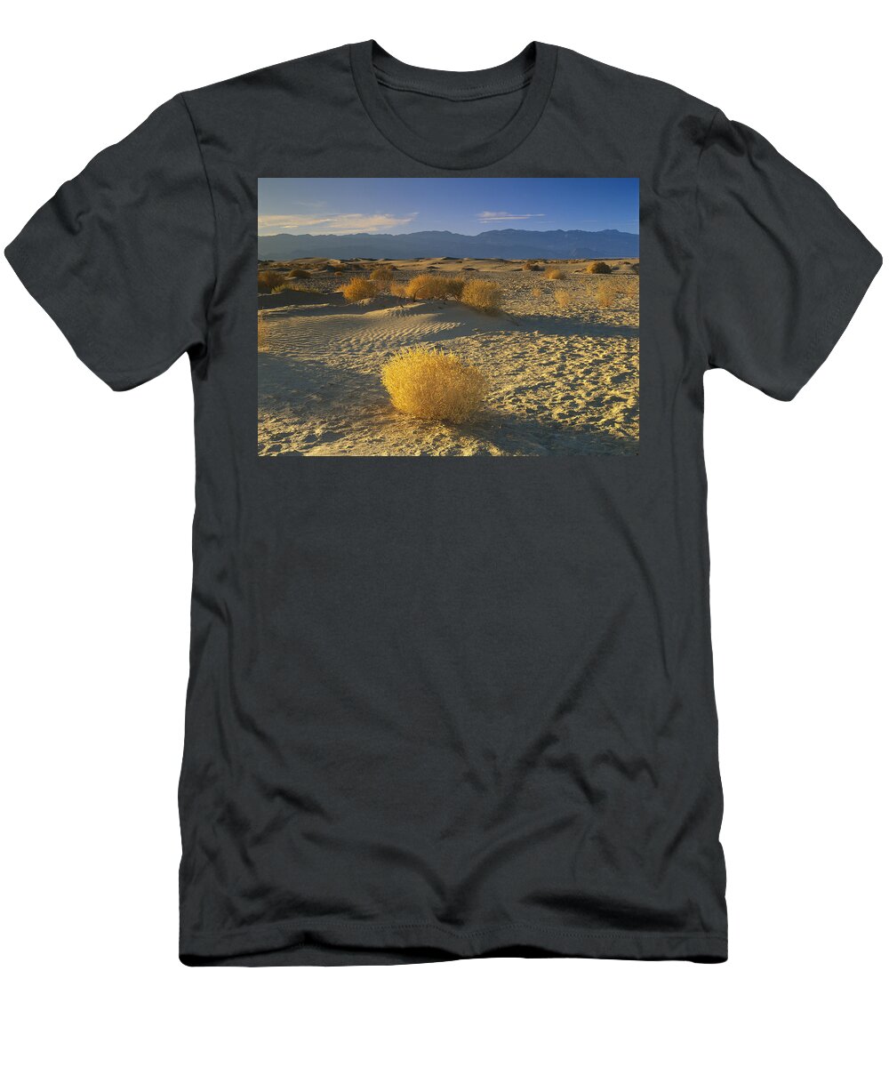00173155 T-Shirt featuring the photograph Mesquite Flat Sand Dunes Death Valley #2 by Tim Fitzharris