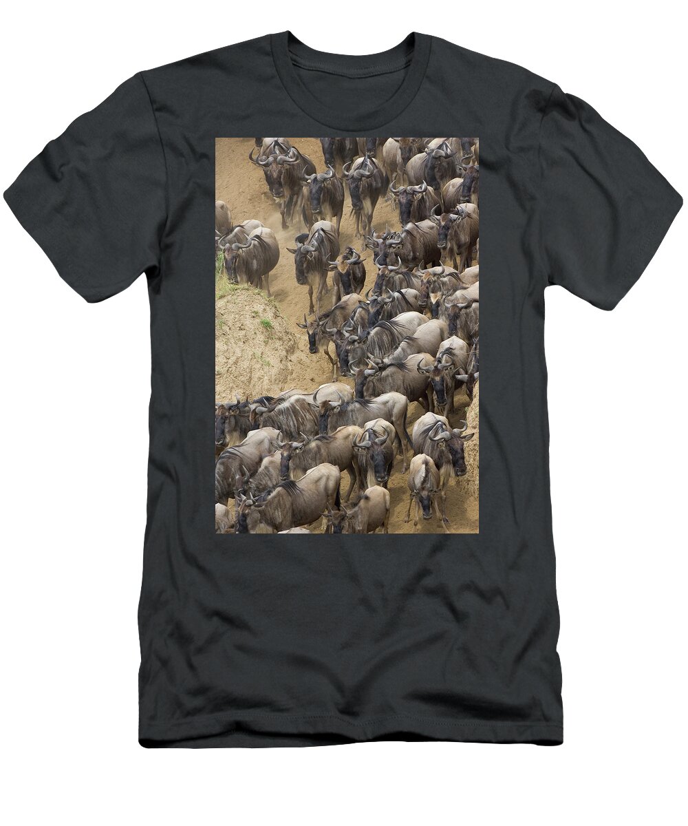 Mp T-Shirt featuring the photograph Blue Wildebeest Connochaetes Taurinus #3 by Suzi Eszterhas