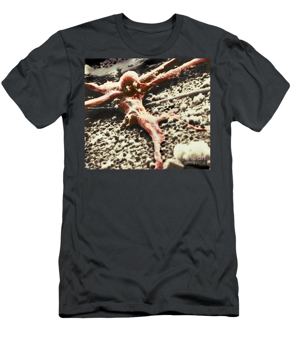 Cancer T-Shirt featuring the photograph Malignant Cancer Cell #3 by Omikron