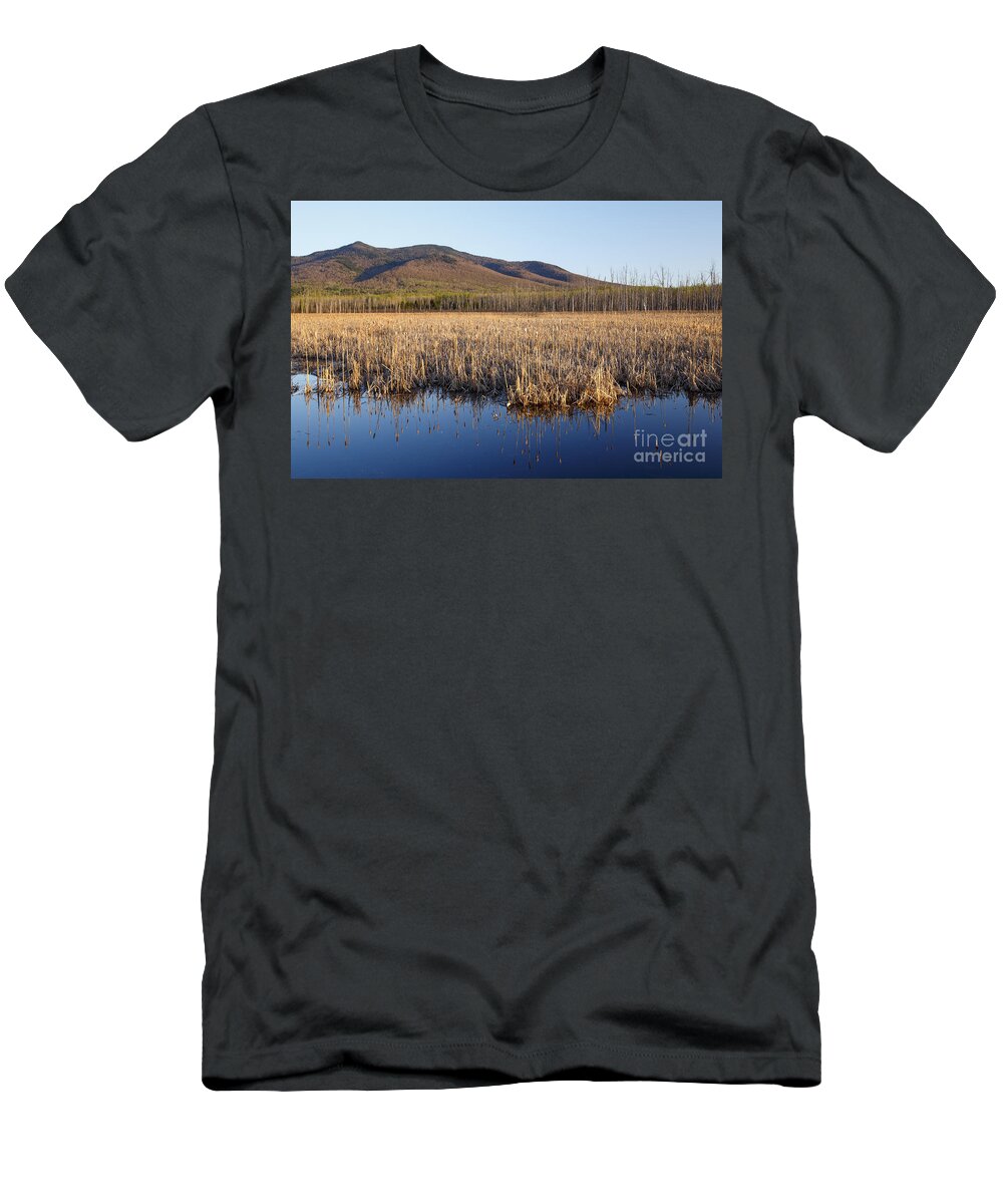 Cohos Regional Trail T-Shirt featuring the photograph Pondicherry Wildlife Refuge - Jefferson New Hampshire #3 by Erin Paul Donovan