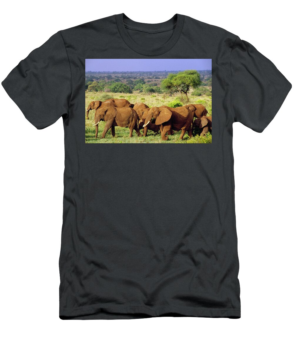Mp T-Shirt featuring the photograph African Elephant Loxodonta Africana #4 by Gerry Ellis