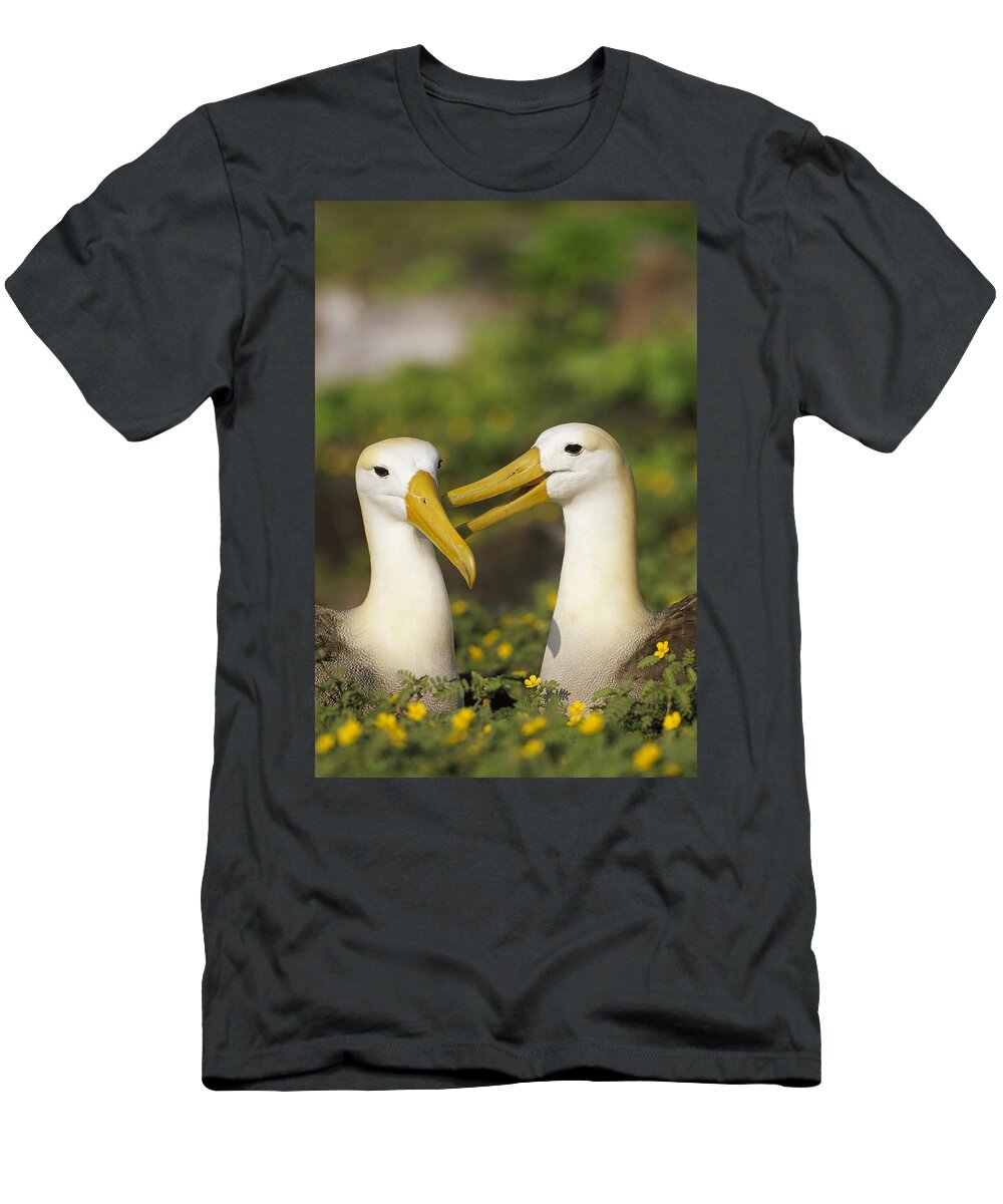 00141167 T-Shirt featuring the photograph Waved Albatross Phoebastria Irrorata #3 by Tui De Roy