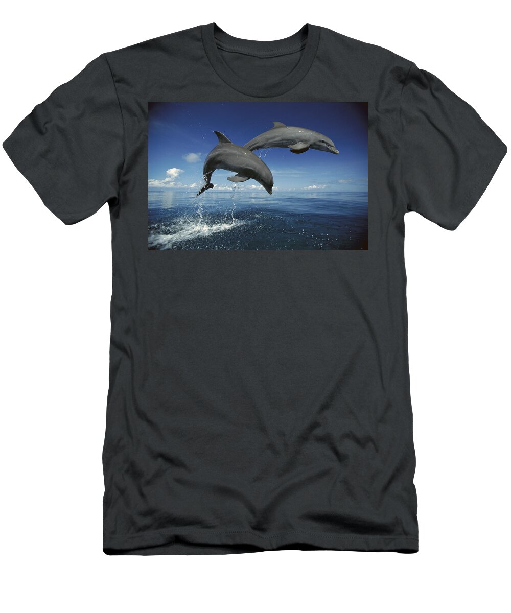 Mp T-Shirt featuring the photograph Bottlenose Dolphin Tursiops Truncatus #6 by Konrad Wothe