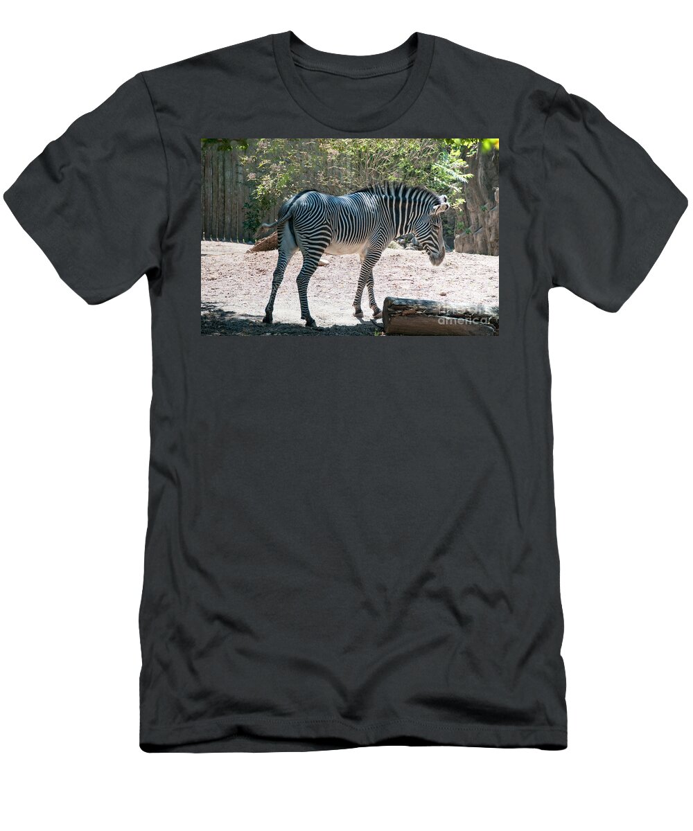 Animals T-Shirt featuring the digital art Lincoln Park Zoo in Chicago #9 by Carol Ailles