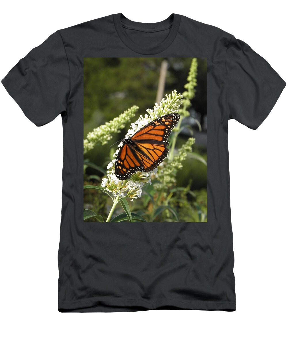 Monarch T-Shirt featuring the photograph A Capture Of Beauty by Kim Galluzzo