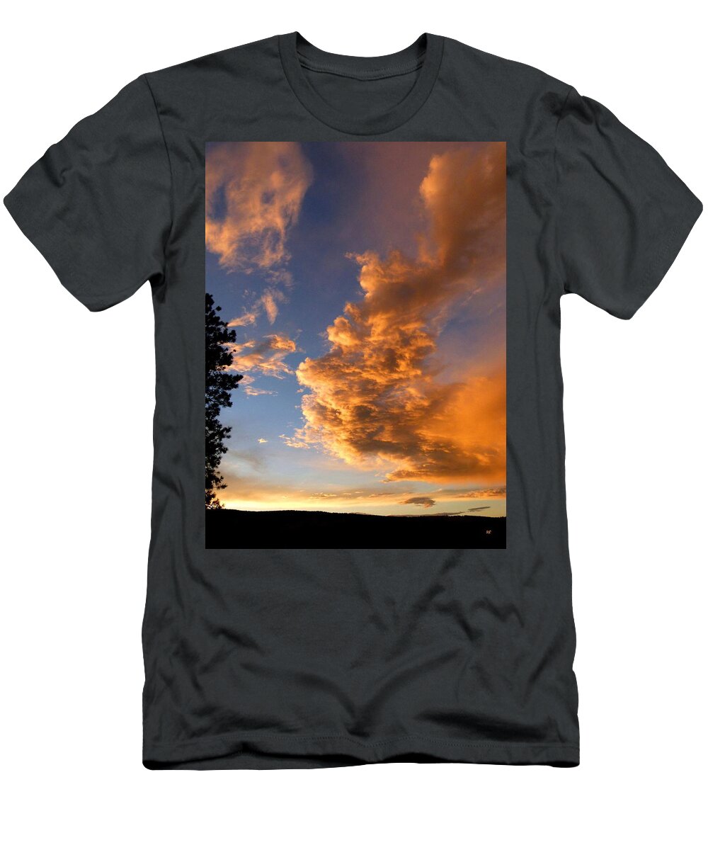 Sunset T-Shirt featuring the photograph A Dramatic Summer Evening 1 by Will Borden