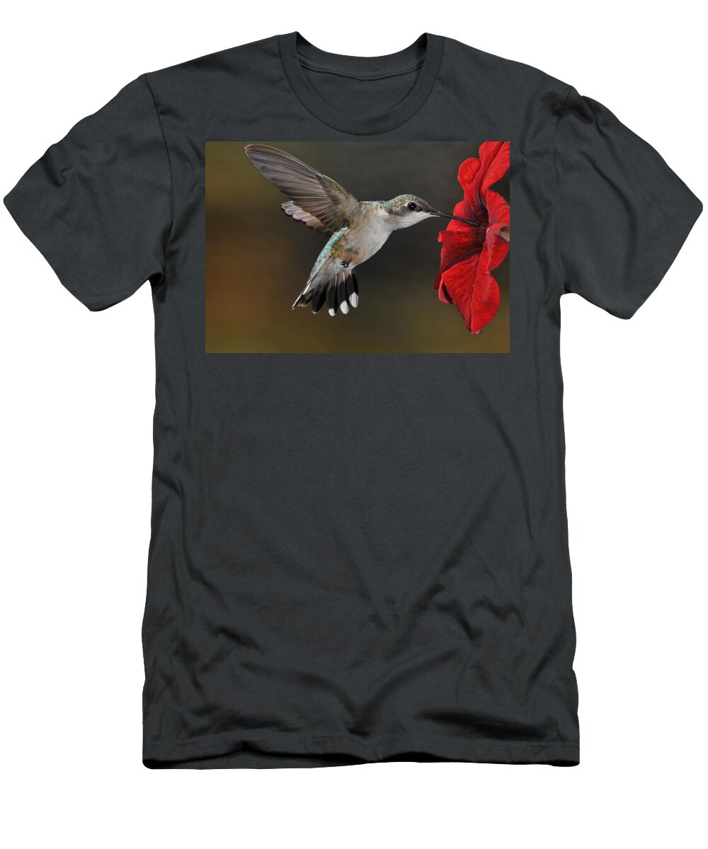 Avian T-Shirt featuring the photograph A Lady at Lunch by Mike Martin