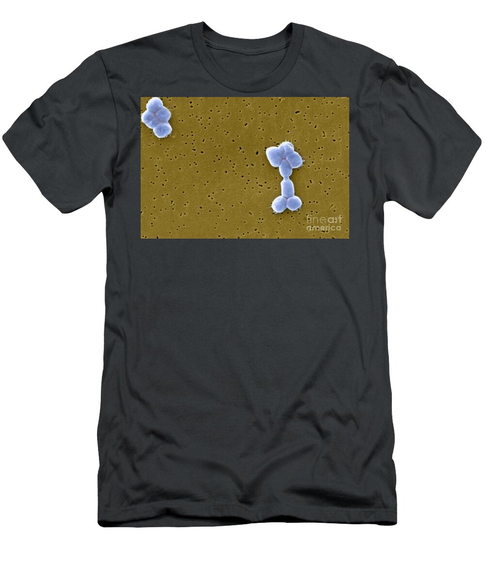 Science T-Shirt featuring the photograph Acinetobacter Baumannii Bacteria, Sem by Science Source