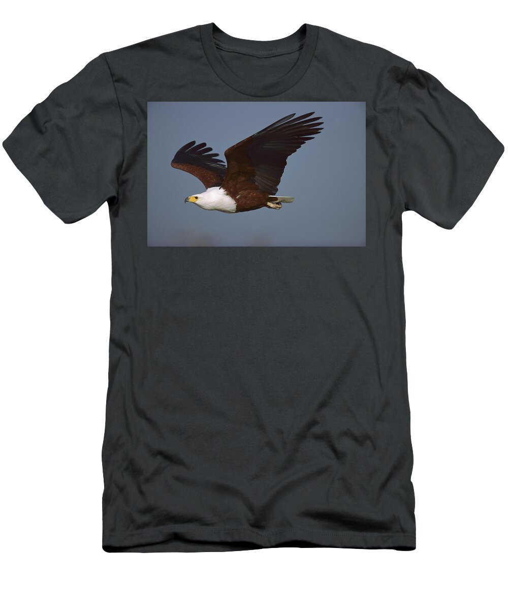 Mp T-Shirt featuring the photograph African Fish Eagle Haliaeetus Vocifer by Richard Du Toit