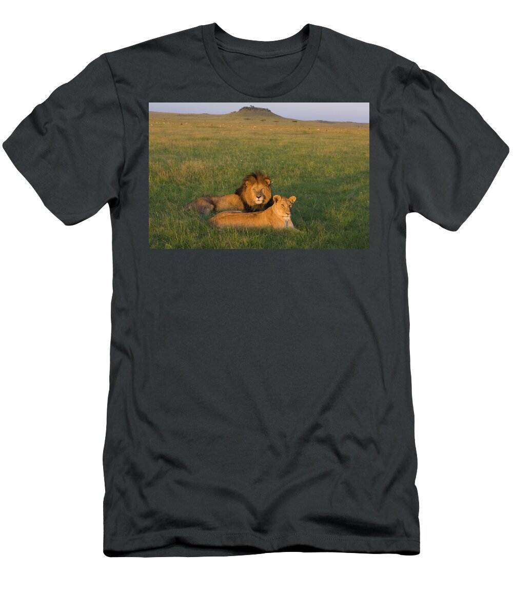 Mp T-Shirt featuring the photograph African Lion Panthera Leo Male by Suzi Eszterhas