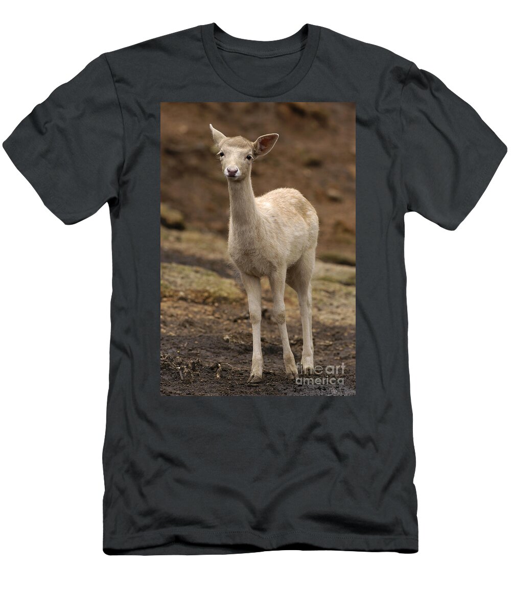 Deer T-Shirt featuring the photograph Albino Fallow Deer Fawn by Raul Gonzalez Perez