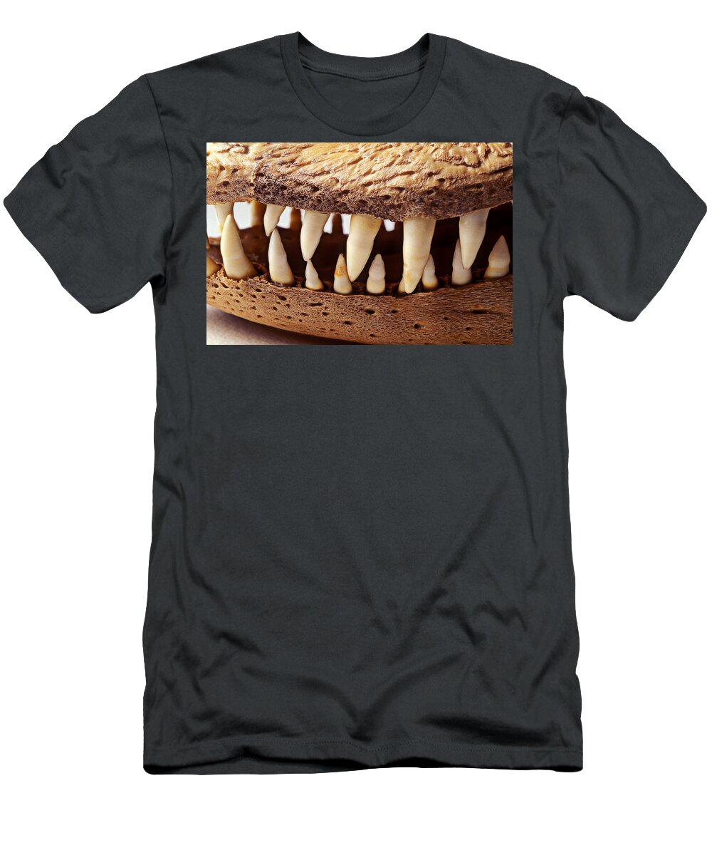 Alligator Skull Teeth T-Shirt featuring the photograph Alligator skull teeth by Garry Gay