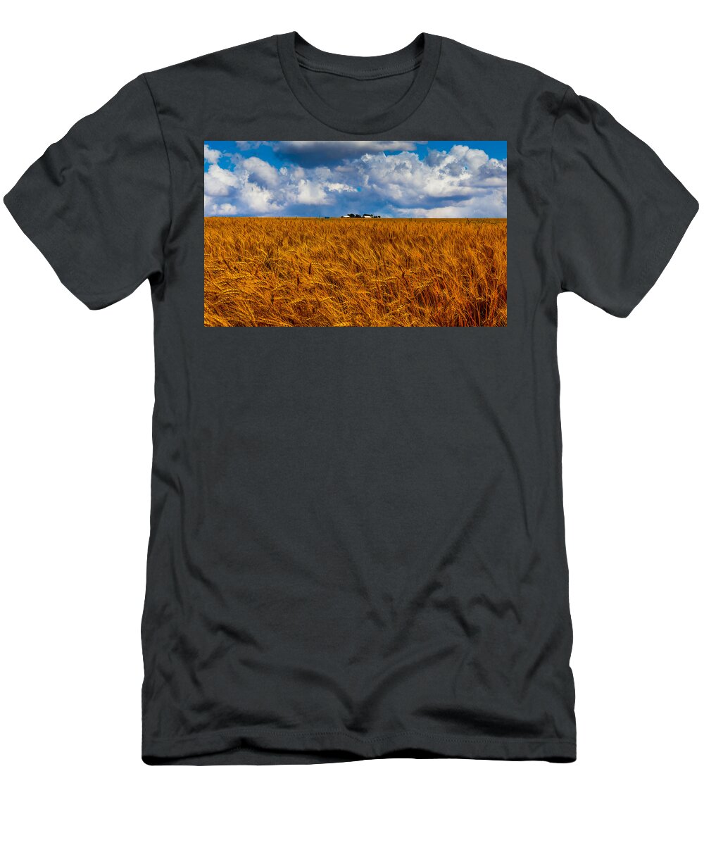 Agriculture T-Shirt featuring the photograph Amber Waves of Grain by Doug Long
