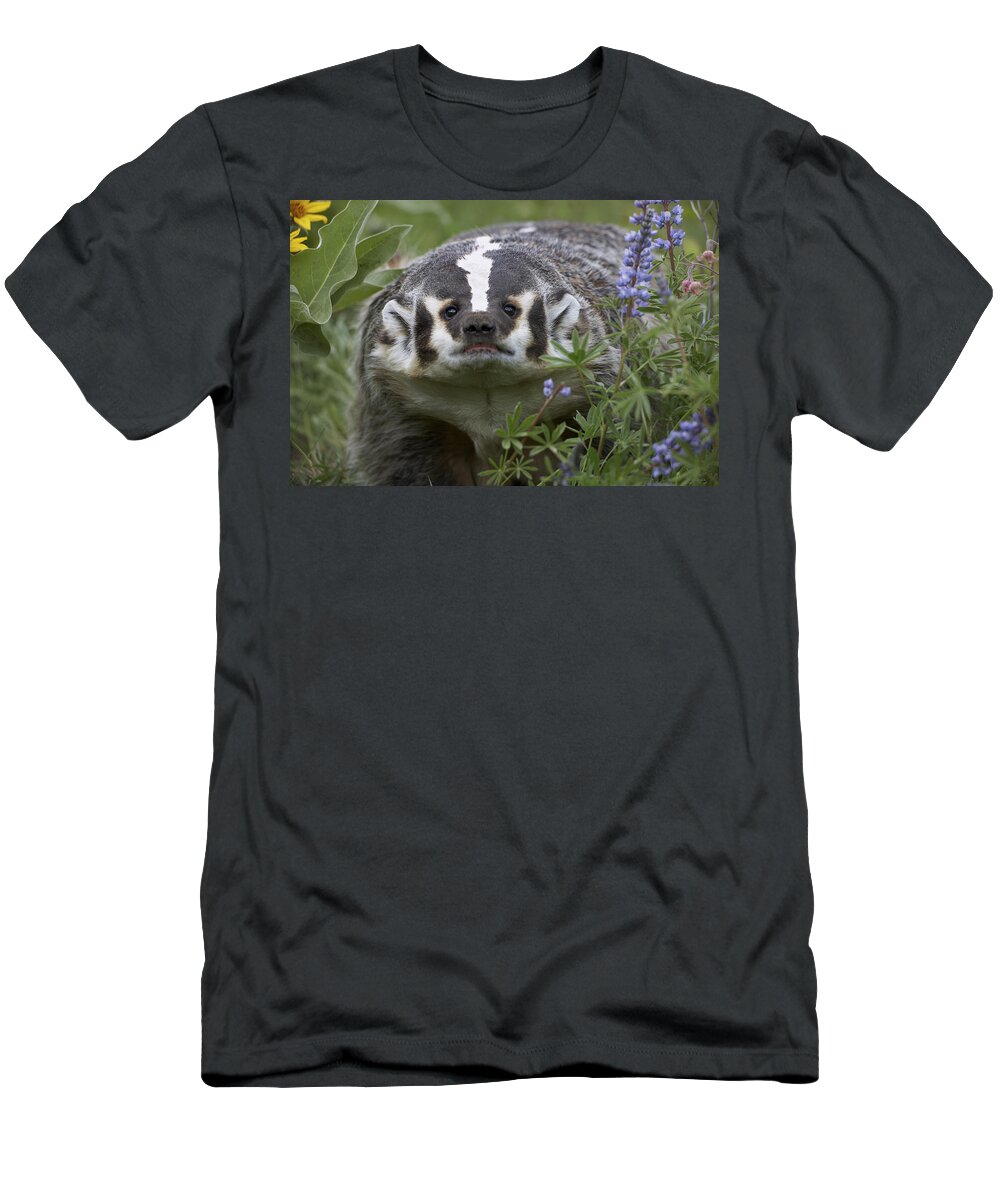 00177007 T-Shirt featuring the photograph American Badger Amid Lupine by Tim Fitzharris