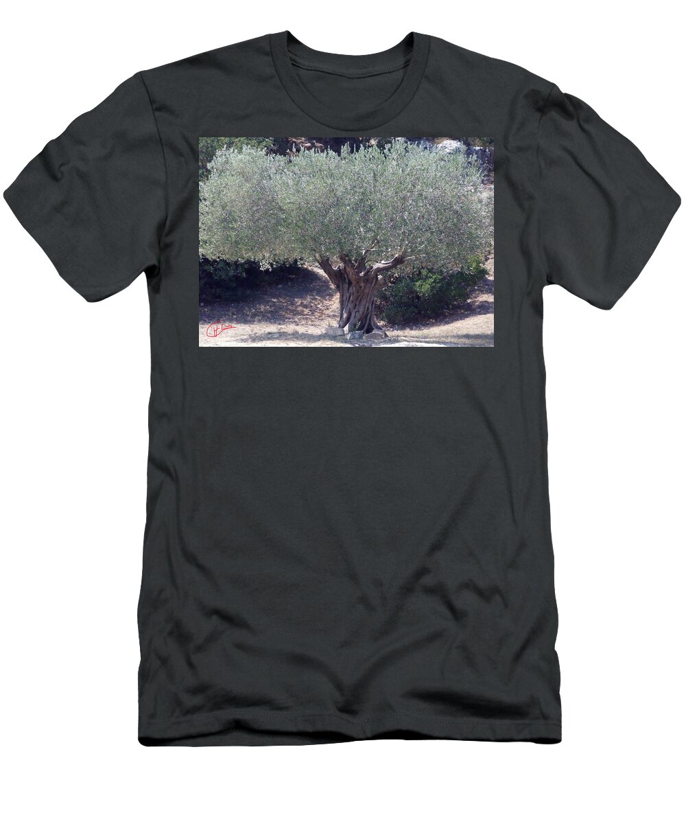 Colette T-Shirt featuring the photograph Ancient Old Olive Tree in South France by Colette V Hera Guggenheim
